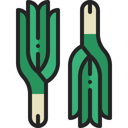 schnittlauch Generic Outline Color icon