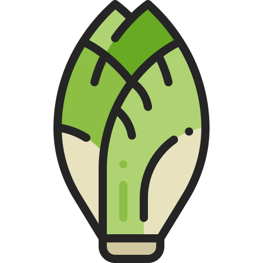 Chicory Generic Outline Color icon