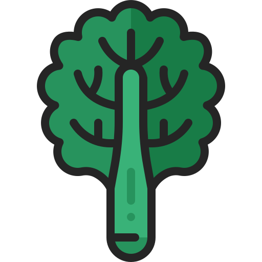 Kale Generic Outline Color icon