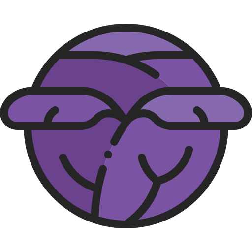 Red cabbage Generic Outline Color icon