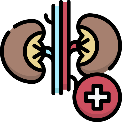 Urology Generic Outline Color icon