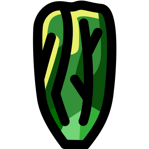 Cabbage Generic Outline Color icon