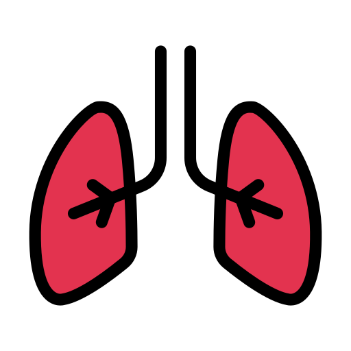 Lung Vector Stall Lineal Color icon