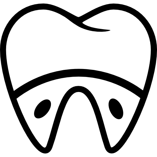 molare e radici  icona