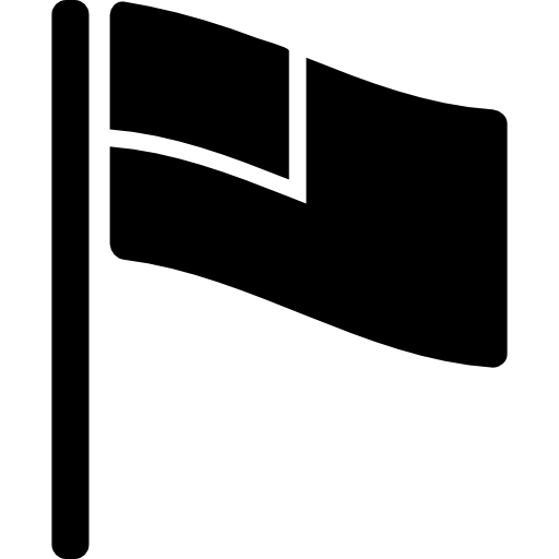 Country flag  icon