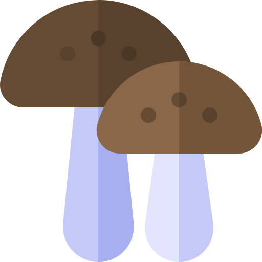 champignons Basic Rounded Flat Icône