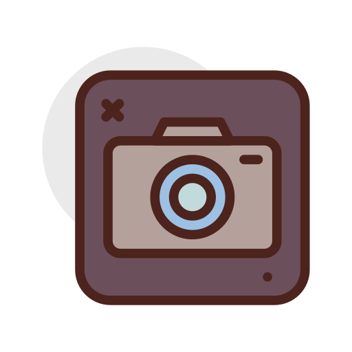 카메라 Darius Dan Lineal Color icon
