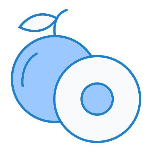 longan Generic Blue icoon