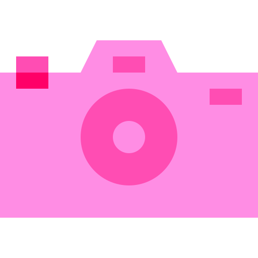 Camera Basic Sheer Flat icon