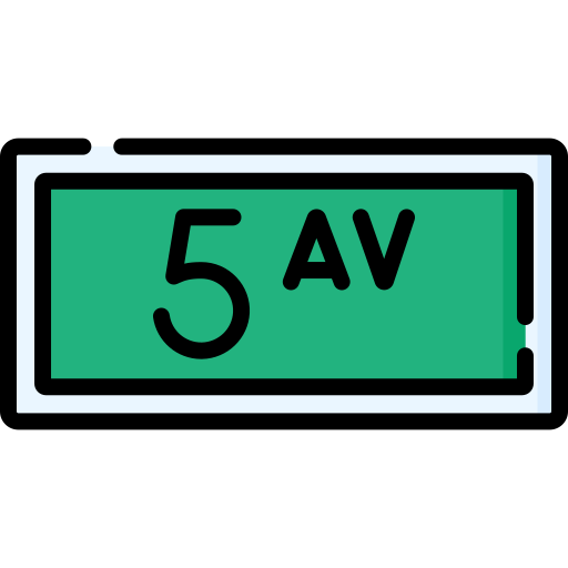 fifth avenue Special Lineal color icon