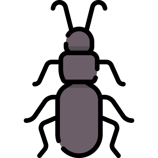 Mandli Special Lineal color icon