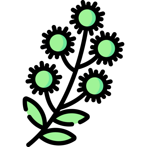 conocarpus lancifolius Special Lineal color icon