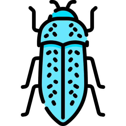 scarabeo gioiello Special Lineal color icona