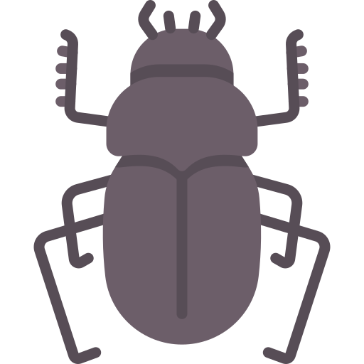 Dung beetle Special Flat icon