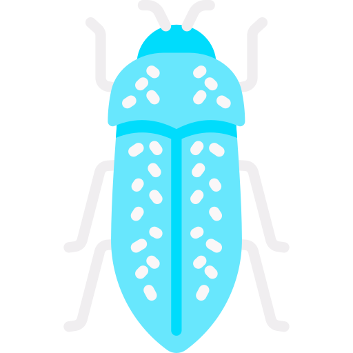 Jewel beetle Special Flat icon