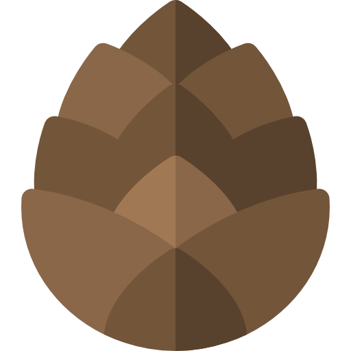 Pine cone Basic Rounded Flat icon