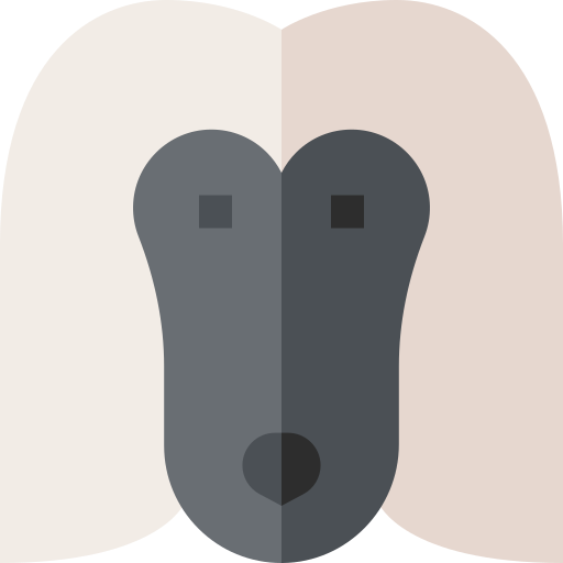 afghanischer windhund Basic Straight Flat icon