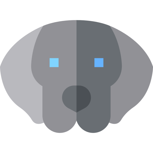 Weimaraner Basic Straight Flat icon