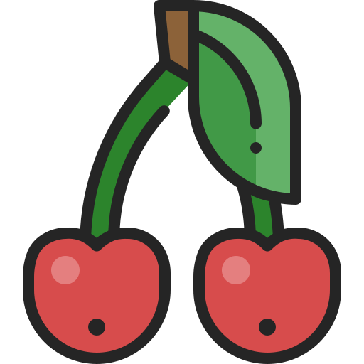 Cherry Generic Outline Color icon