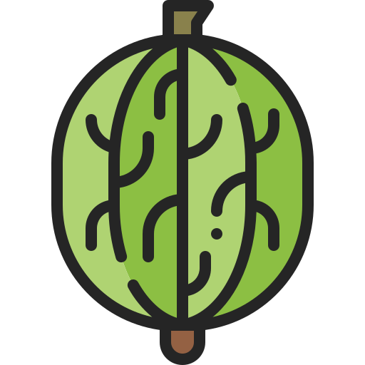 stachelbeere Generic Outline Color icon