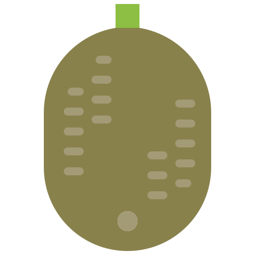 Kiwi Generic Flat icon