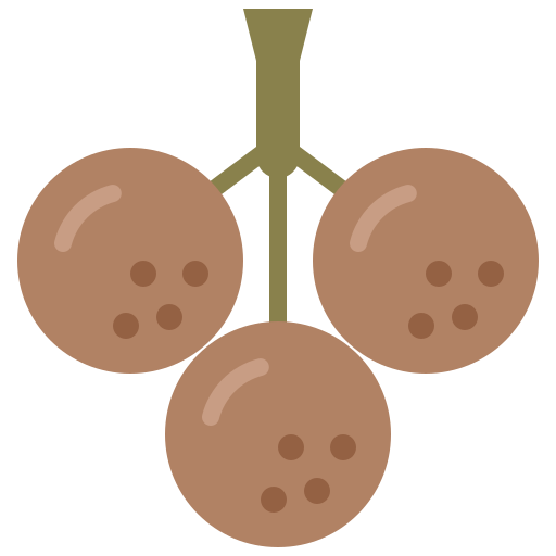 longan Generic Flat icono