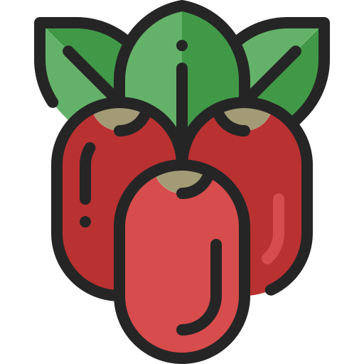 Miracle fruit Generic Outline Color icon