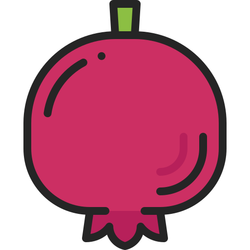 granatapfel Generic Outline Color icon