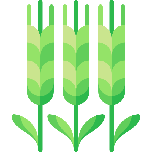 Barley Special Flat icon