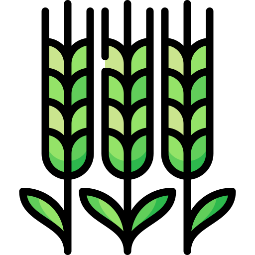 Barley Special Lineal color icon