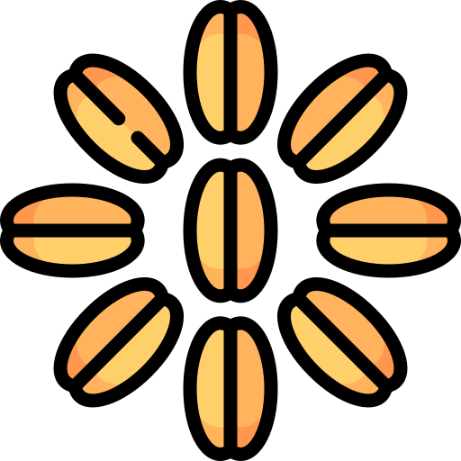 밀 곡물 Special Lineal color icon