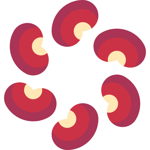 Kidney bean Special Flat icon