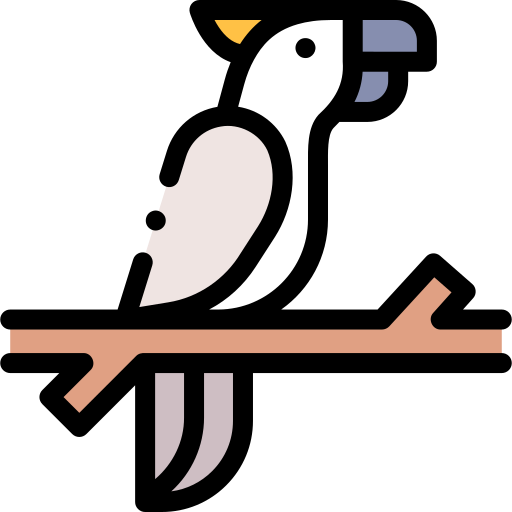 Cockatoo Detailed Rounded Lineal color icon