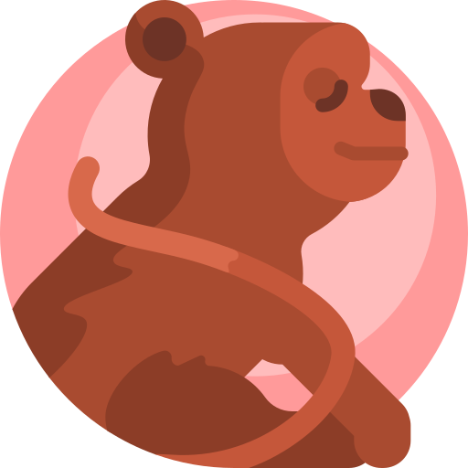 원숭이 Detailed Flat Circular Flat icon