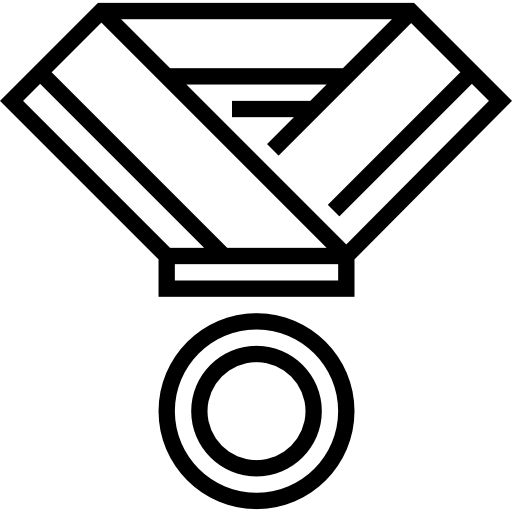 메달 Meticulous Line icon