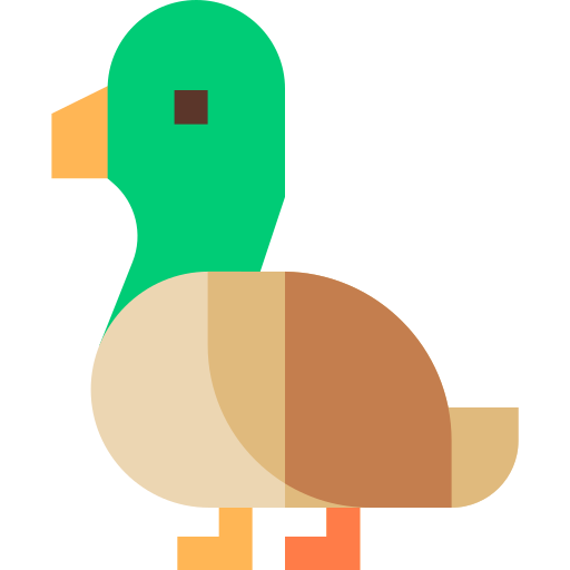 canard Basic Straight Flat Icône