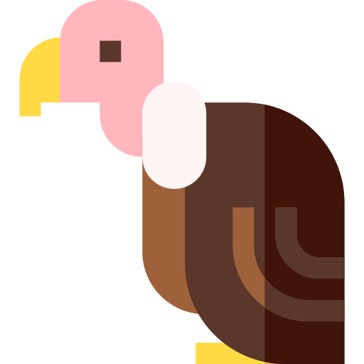 avvoltoio Basic Straight Flat icona