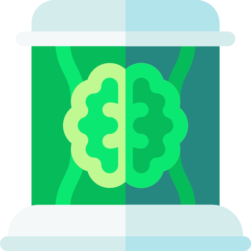 뇌 Basic Rounded Flat icon