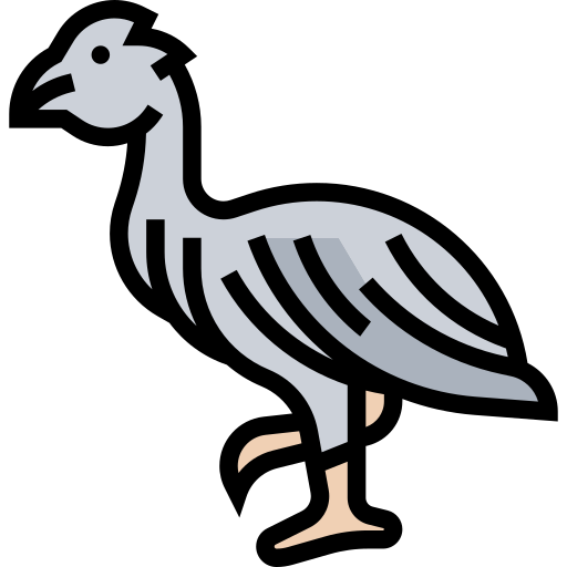鳥 Meticulous Lineal Color icon