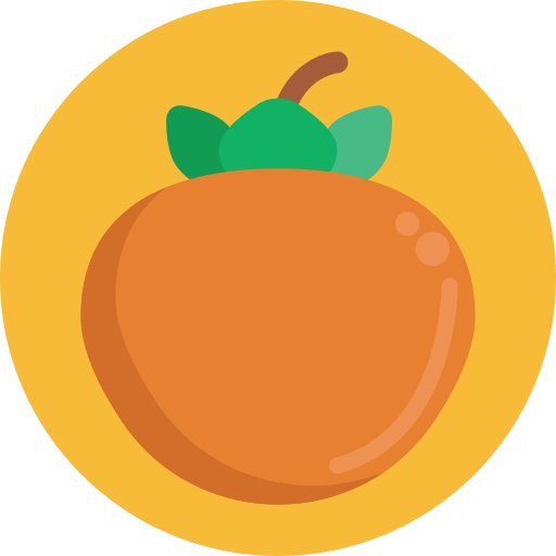 Persimmon Generic Circular icon