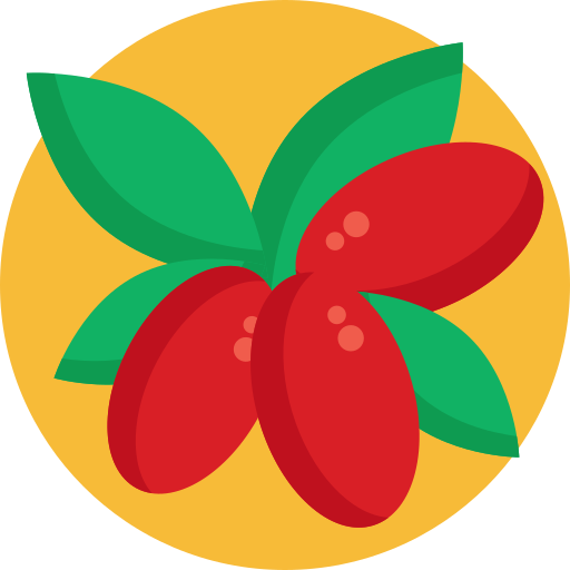 Miracle fruit Generic Circular icon