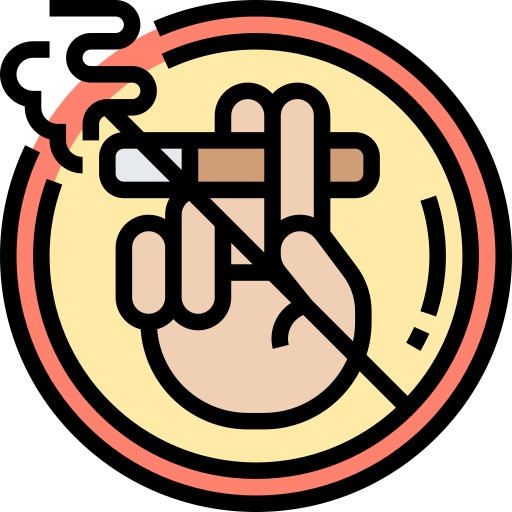 No smoking Meticulous Lineal Color icon
