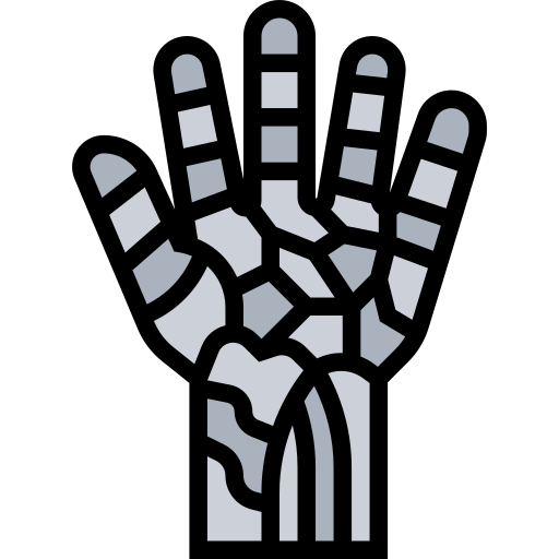 huesos de la mano Meticulous Lineal Color icono