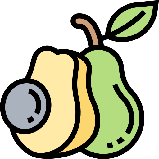 Avocado Meticulous Lineal Color icon