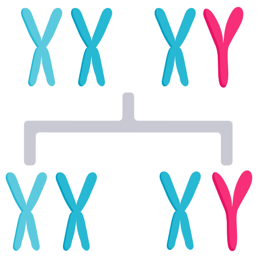 chromosomen Generic Flat icoon