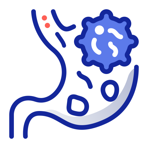 rak żołądka Generic Outline Color ikona