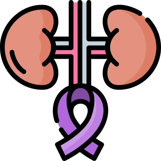 腎臓がん Special Lineal color icon