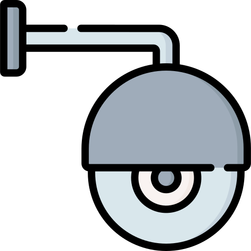 vigilancia Special Lineal color icono