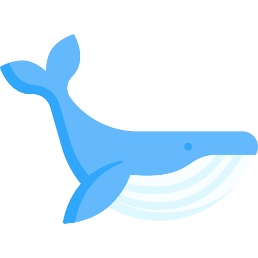 Whale Special Flat icon