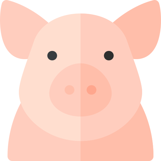 schwein Basic Rounded Flat icon